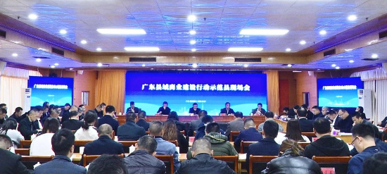 广东省商务厅组织召开县域商业建设行动现场会.jpg